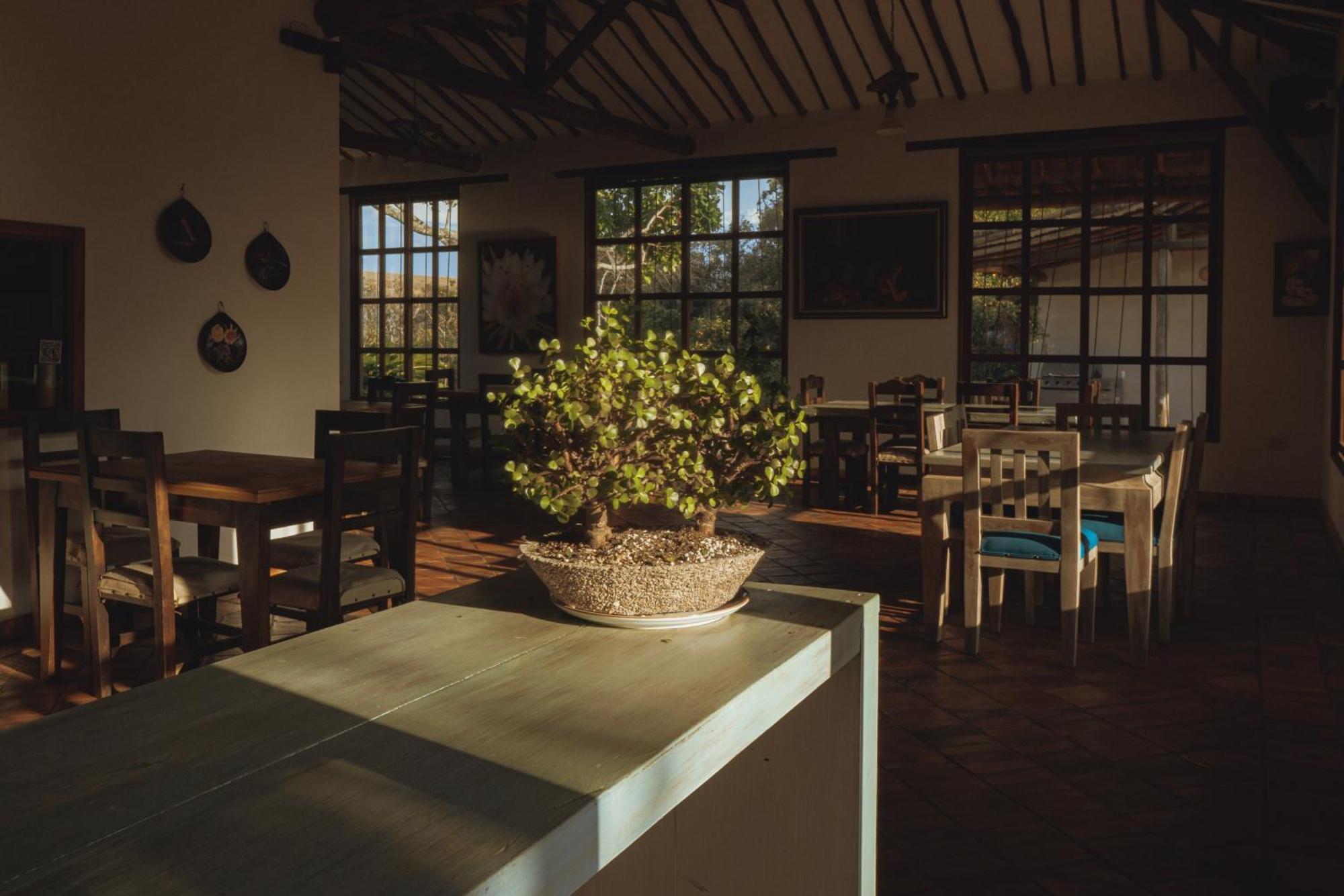 Hotel Finca Buenos Aires Баричара Екстериор снимка